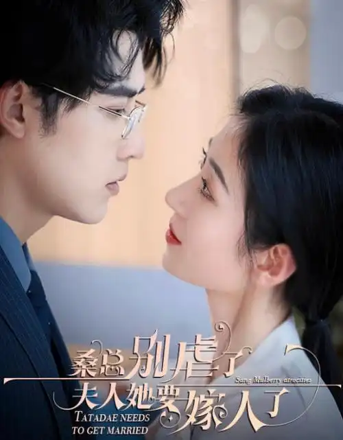 白露未晞热播电视剧全集在线观看